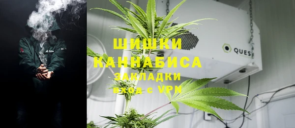 Альфа ПВП Аркадак