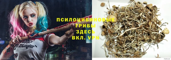 гашик Балахна